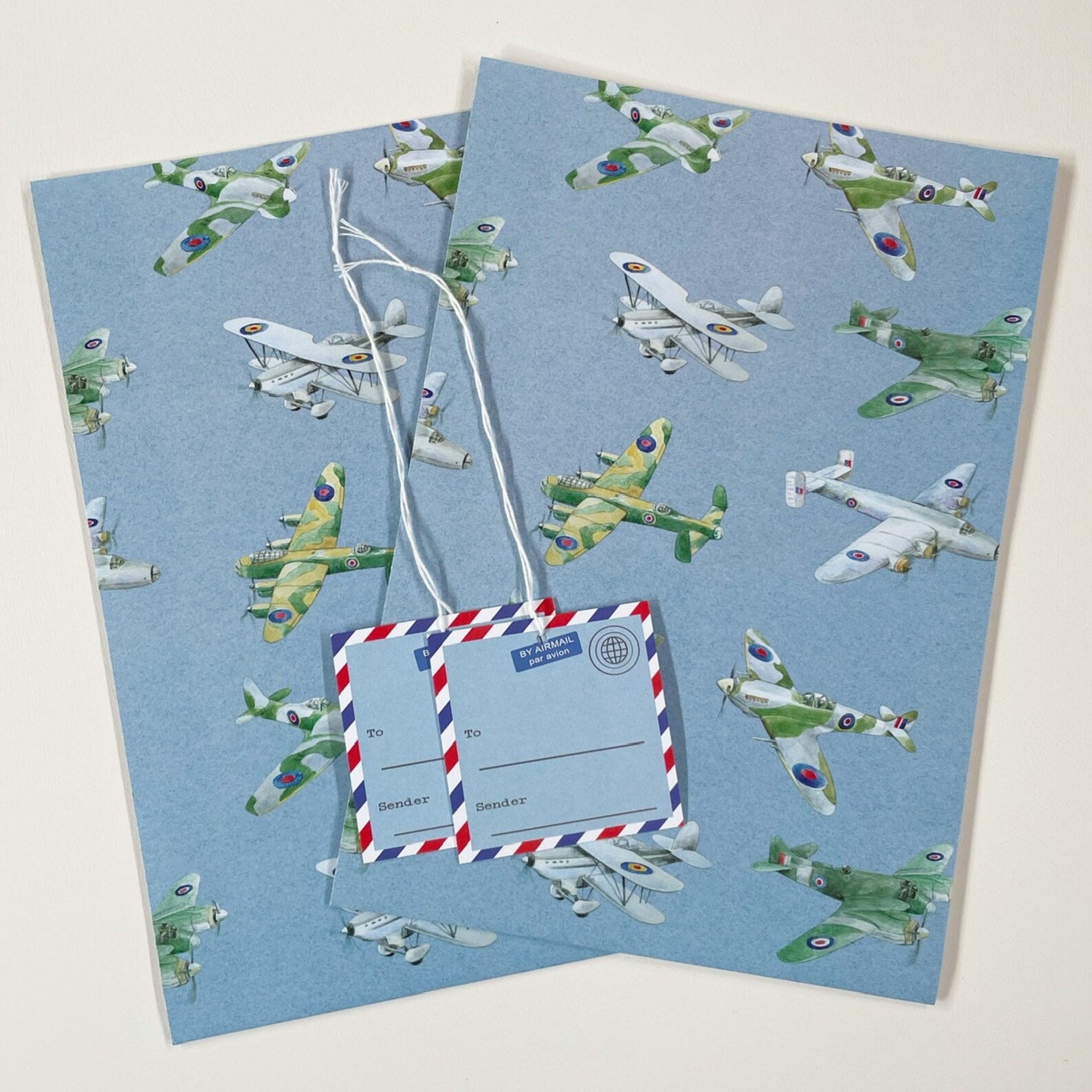 Plane Aeroplane Airplane Wrapping Paper 2 Sheets and 2 Etsy