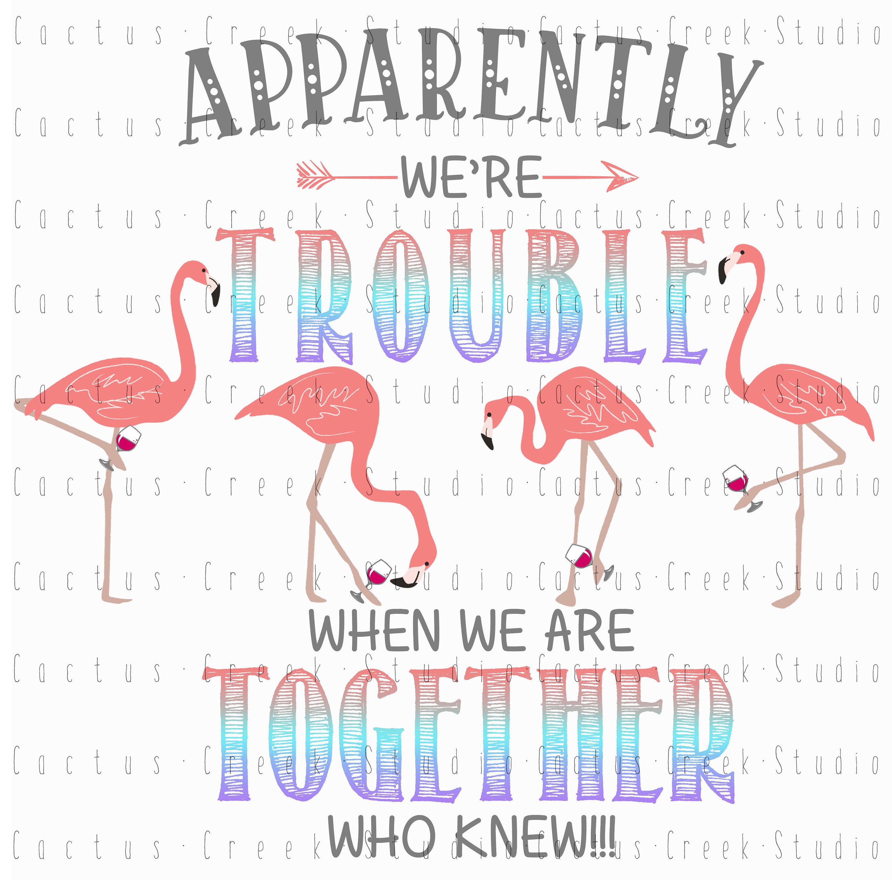 Apparently Were Trouble White Heat Transfer, Ready to Press, Heat Transfer  Vinyl, Sublimation, Decal for Shirts, DIY, Were Trouble, Flamingo 