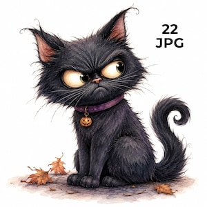 May include: A fluffy black cat with large, wide eyes and a grumpy expression, wearing a purple collar with a small orange pumpkin charm. The text 22 JPG is visible in the upper right corner. Several brown autumn leaves are scattered on the ground.