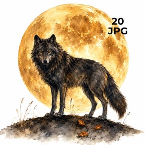 Puede incluir: Una ilustración en acuarela de un lobo gris oscuro de pie sobre una pequeña colina con hojas marrones dispersas y hierba fina, frente a una gran luna llena dorada y texturizada. El texto 20 JPG es visible en la esquina superior derecha.