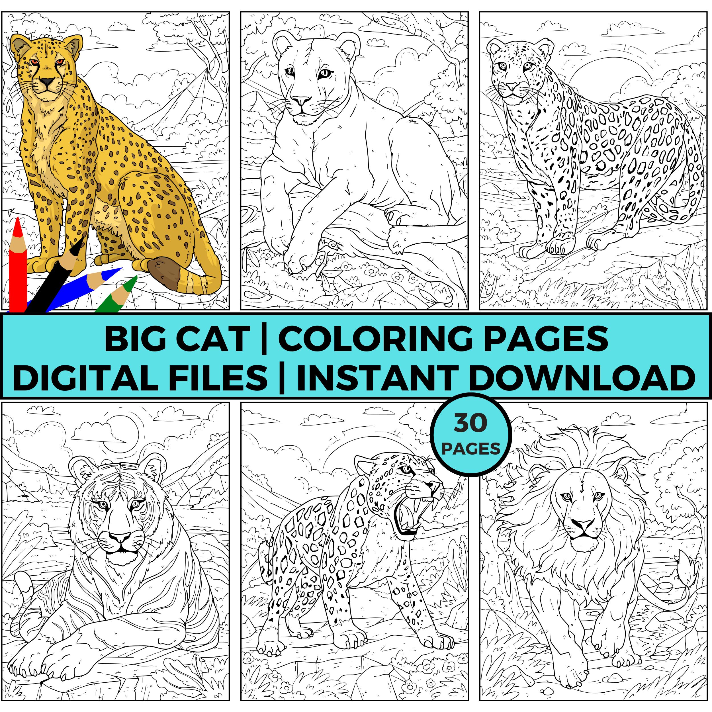 Kleurplaat leeuw - Etsy België, image size:2500x2500