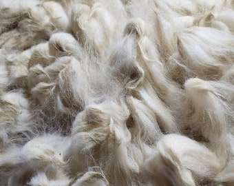 Lady Sophia's fleece raw alpaca white