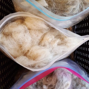 100% All natural Alpaca fiber for Bird Nesting Material
