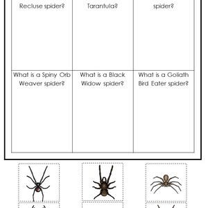 30 Spiders Printable Preschool Educational Games Download. Games and ...
