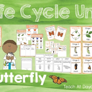 Life Cycle of a Butterfly Science Curriculum Unit. Worksheets, Activities, Posters, and more!