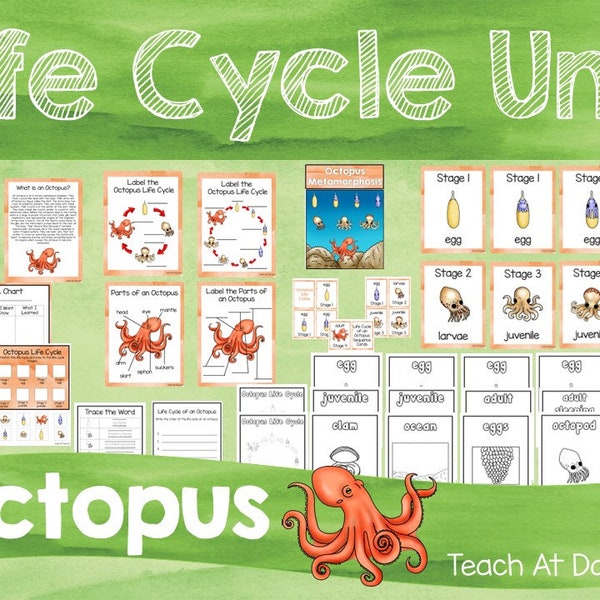 Life Cycle of an Octopus Science Curriculum Unit. Worksheets, Activities, Posters, and more!