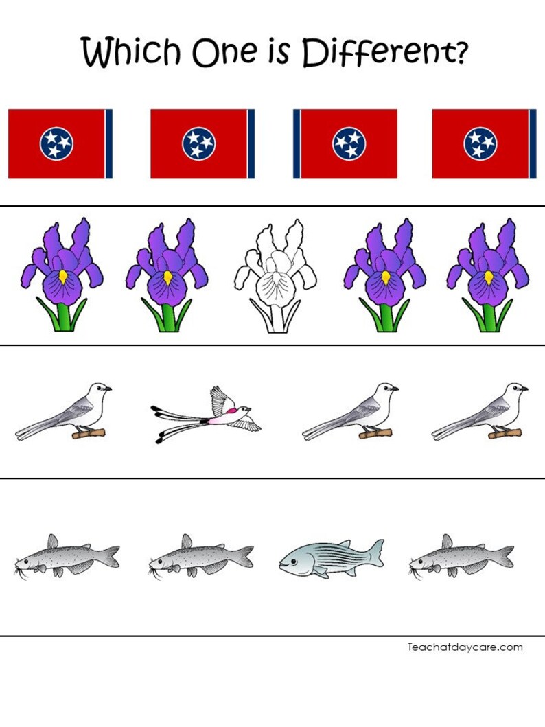 Tennessee State Symbols Learning Games: Preschool & 1st Grade (PDF) - Etsy