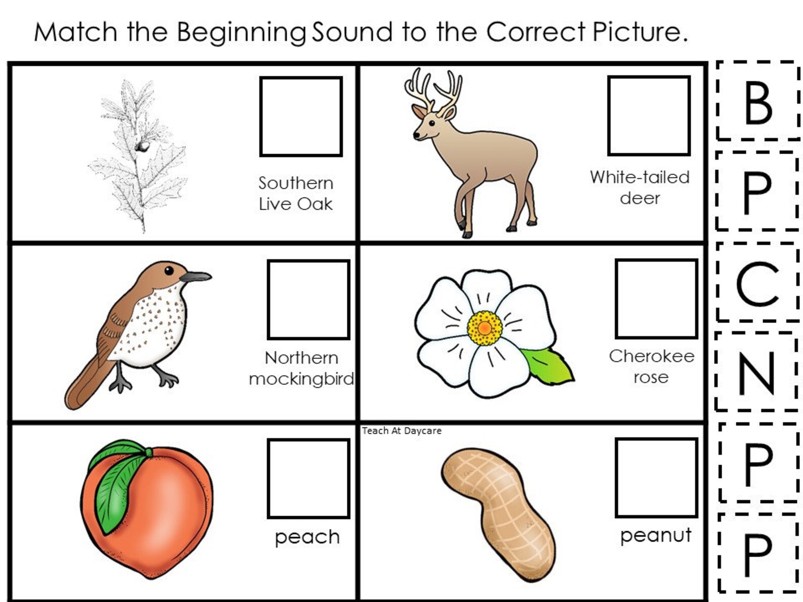 30 State Symbols themed Learning Games Download. ZIP Etsy