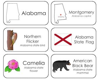 300 State Symbols Printable Flashcards. State, Capital, Flower, Mammal, Flag, and Bird. All 50 States.