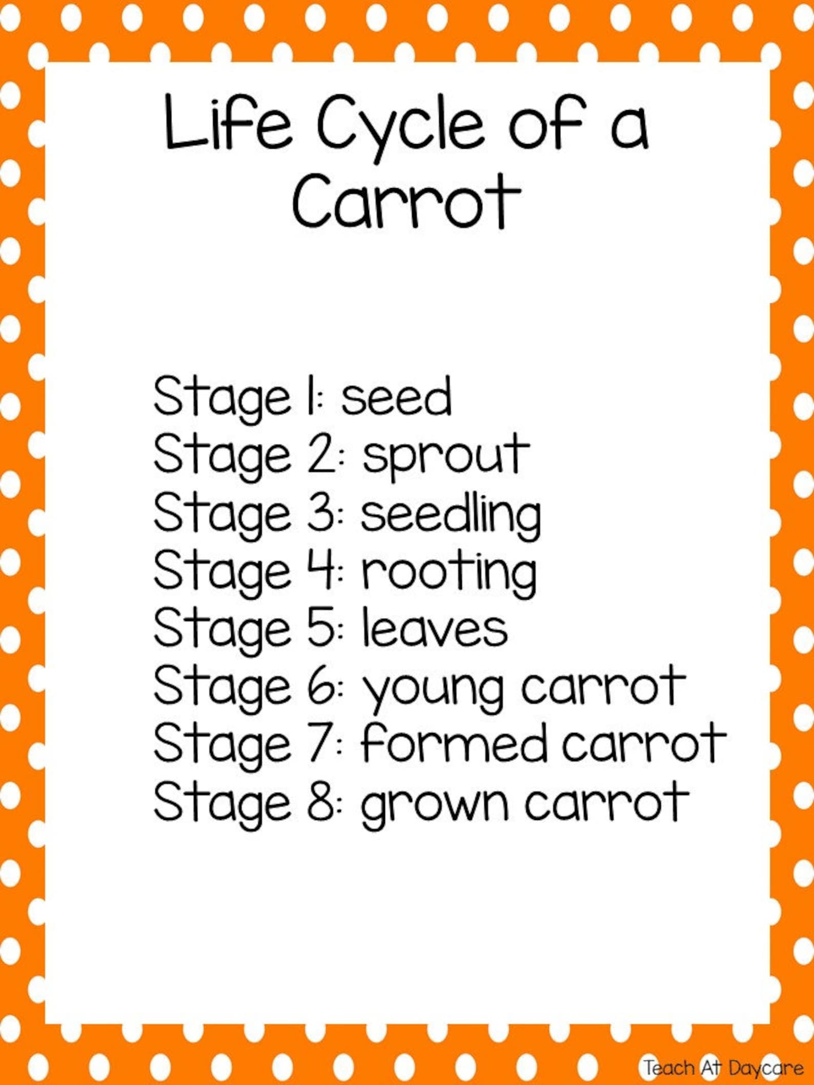Life Cycle of a Carrot Science Curriculum Unit. Worksheets, Activities ...
