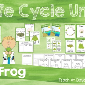 Life Cycle of a Frog Science Curriculum Unit. Worksheets, Activities, Posters, and more!
