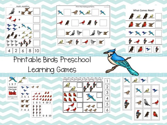 30 Printable Preschool Birds Learning Games Download. Games