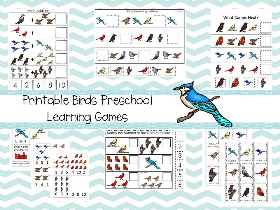 30 Printable Preschool Birds Learning Games Download. Games and Activities in PDF Files. - Etsy 30-printable-preschool-birds-learning-games-download-games-and-activities-in-pdf-files-etsy