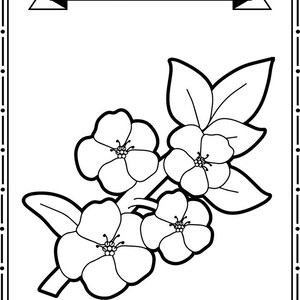 50 Printable State Flower Color Worksheets. Preschool and Kindergarten ...