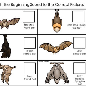 30 Bats Printable Preschool Educational Games Download. Games and ...