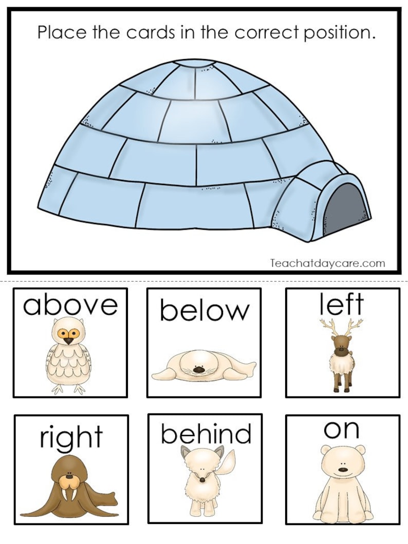 arctic-animal-worksheets