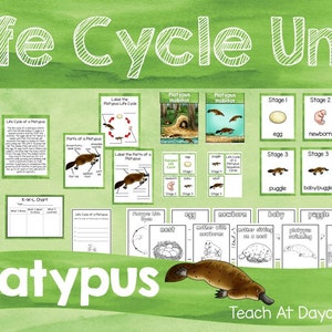Life Cycle of a Platypus Science Curriculum Unit. Worksheets, Activities, Posters, and more!