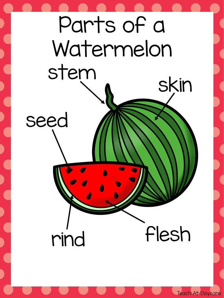 Watermelon Science Picture Life Cycle of a Watermelon Science Curriculum Unit. Worksheets ...