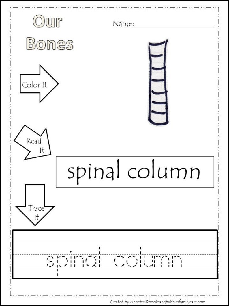 20 Our Bones Printable Worksheets. Color, Read, Trace. Preschool and ...