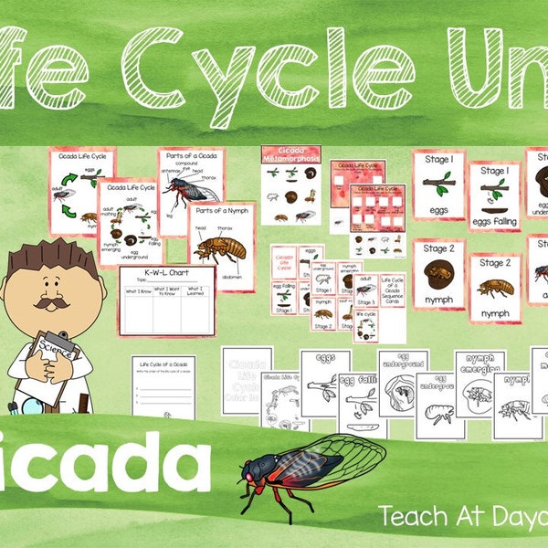 Life Cycle of a Cicada Science Curriculum Unit. Worksheets, Activities, Posters, and more!