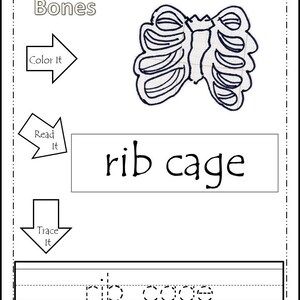 20 Our Bones Printable Worksheets. Color, Read, Trace. Preschool and ...