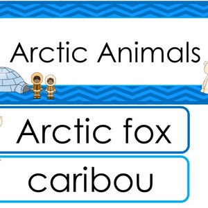 Conjunto de pared de palabras con temática de una sola semana de animales árticos. Etiquetas para tablones de anuncios de aula para niños de preescolar, guardería y jardín de infantes.