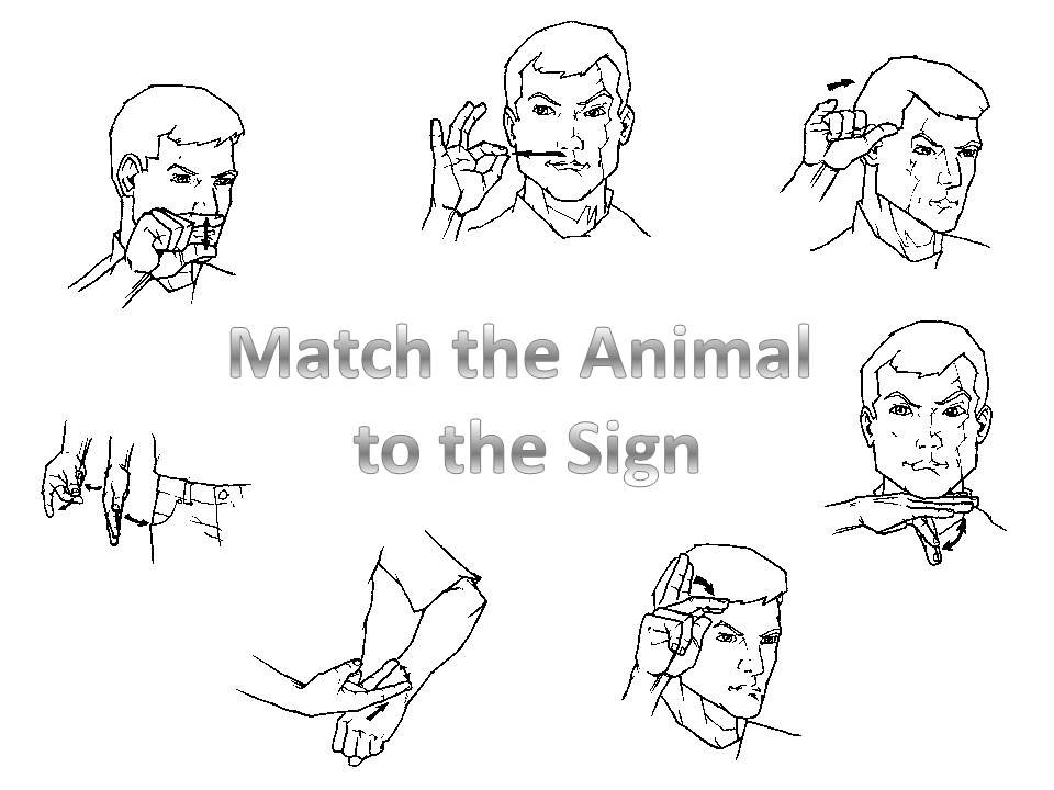 American Sign Language Curriculum Download. Etsy