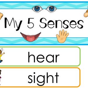 Our Five Senses Single Week Themed Word Wall Set.  Classroom Bulletin Board Labels for Preschool, Daycare, and Kindergarten Children.