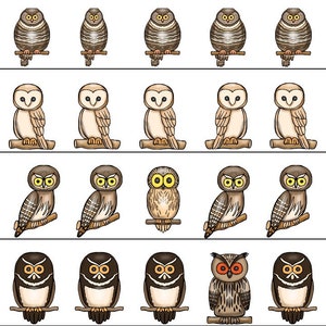 30 Types of Owls Printable Preschool Educational Games - Etsy