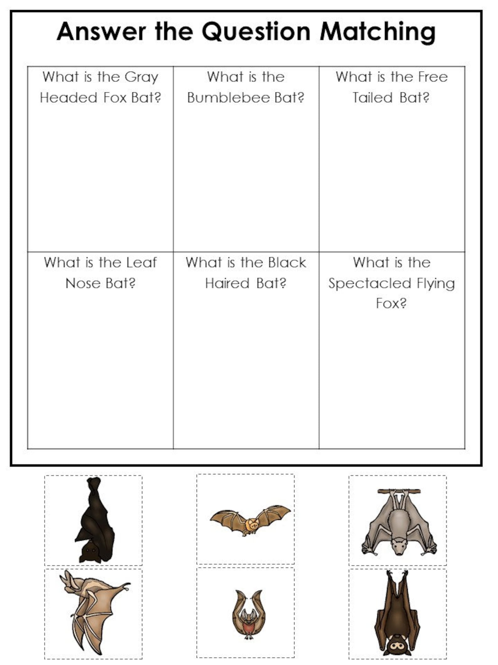 30 Bats Printable Preschool Educational Games Download. Games | Etsy