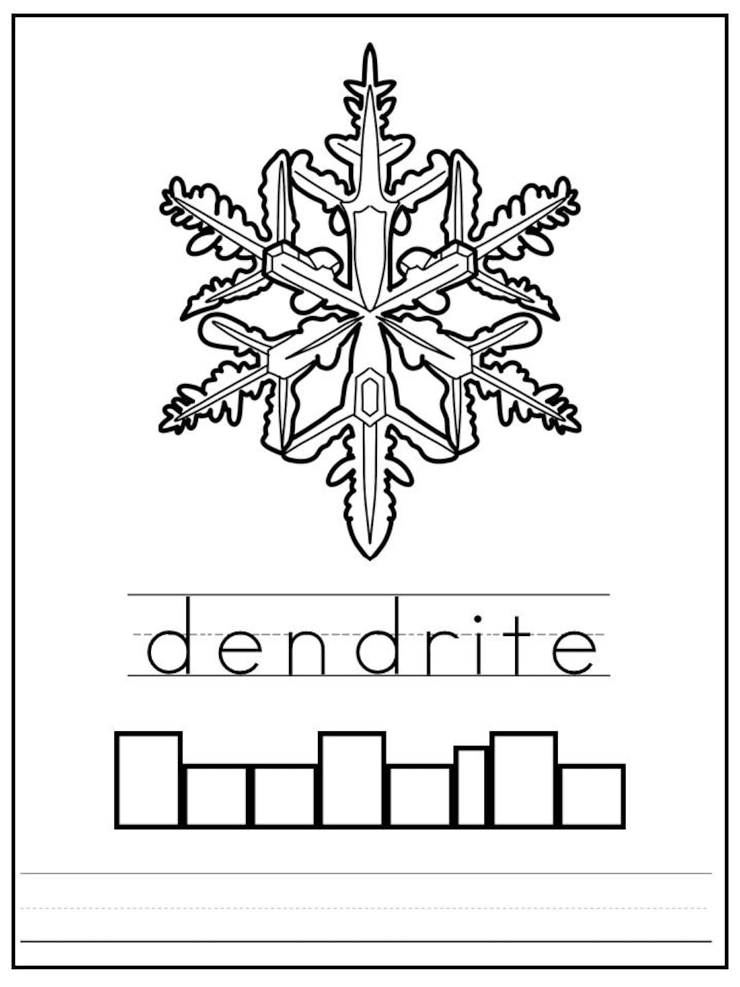 15 Snowflake Identification Color Trace Write Kindergarten Weather