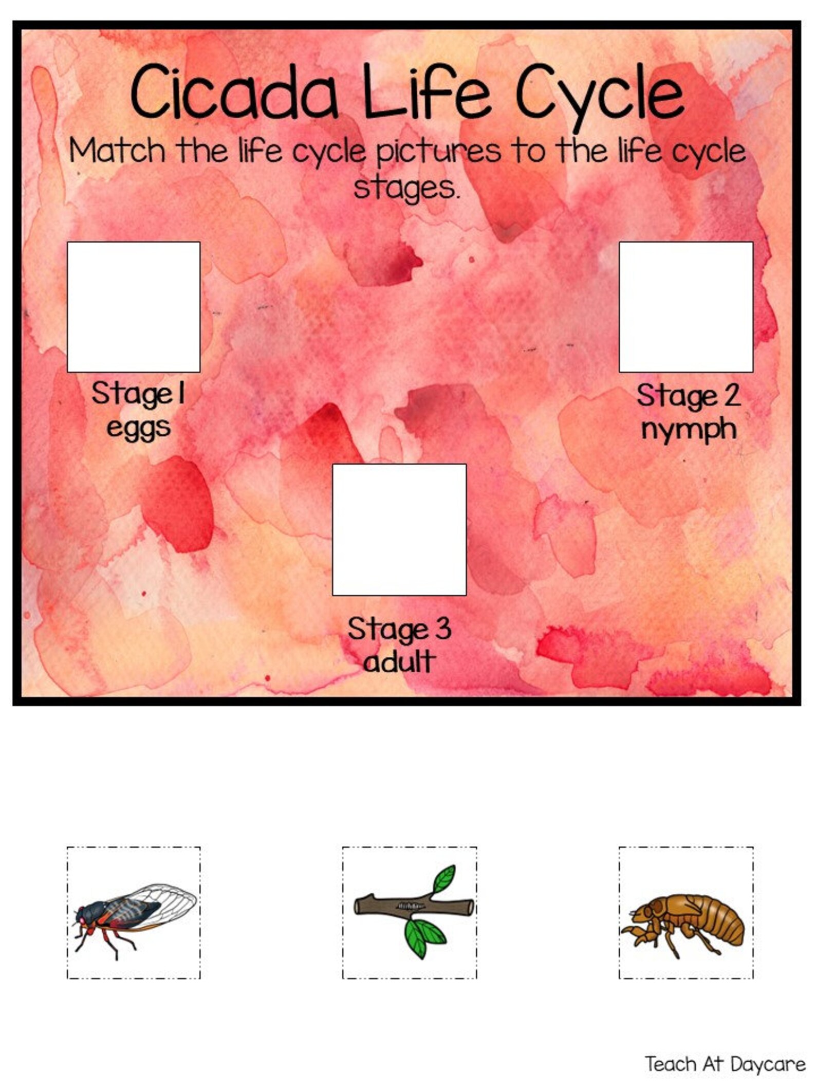 Life Cycle of a Cicada Science Curriculum Unit. Worksheets, Activities ...