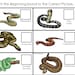 30 Snakes Printable Preschool Educational Games Download. Games and ...