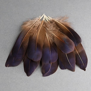 Plumes de faisan irisées bleu violet naturel, livraison gratuite disponible, 5-7 cm, 2-3 pouces, fournitures de bricolage, décoration, boucles d'oreilles image 1