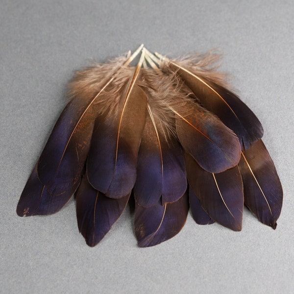 Natural Purple Blue Iridescent Pheasant feathers, Free shipping available, 5-7cm, 2-3 inches, DIY Craft supplies, decoration, earrings