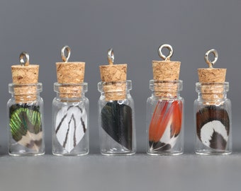 Small bottled feathers, 3cm glass corked ornament, unique feather pendant, DIY necklace earrings, Pheasant & Peacock crafters home decor