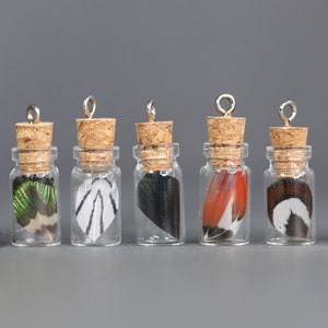 Petites plumes en bouteille, décoration bouchonnée en verre de 3 cm, pendentif plume unique, boucles d'oreilles collier bricolage, décoration d'artisan faisan et paon image 1