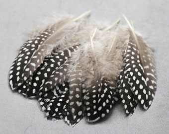 10 Pieces - Natural Black & White Polka Dot Guinea Fowl Wing Quill Feathers | Moonlight Feather