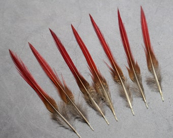Natural Long Red Tip Golden Pheasant feathers,  4 - 6 inches, 10 - 15 cm. loose long pointy feathers for Craft supplies