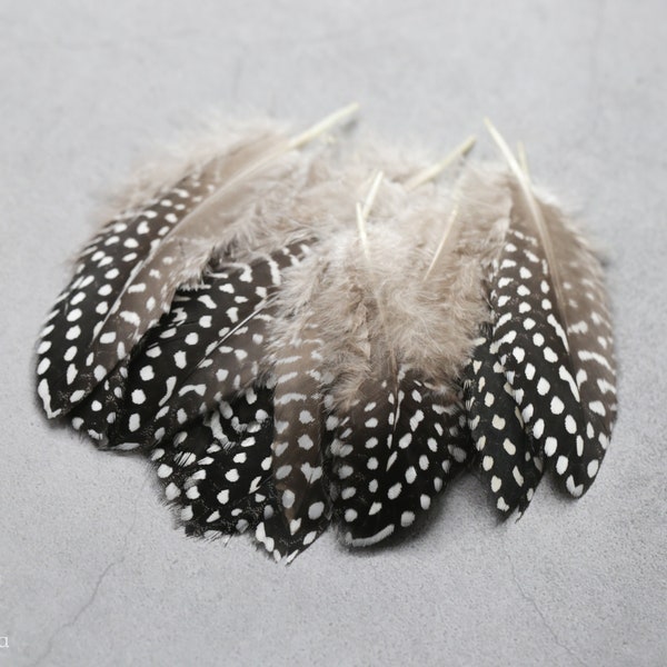 Unique Polkadot Guinea fowl Black and white Feathers, 4-6 inches, Real loose feathers for crafters, feathers for hat makers & dream weavers