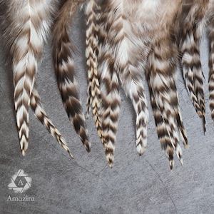 May include: A collection of eight brown and white feathers with a chevron pattern. The feathers are arranged in a row on a gray surface.