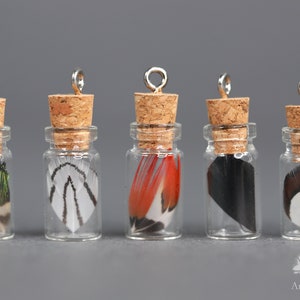Petites plumes en bouteille, décoration bouchonnée en verre de 3 cm, pendentif plume unique, boucles d'oreilles collier bricolage, décoration d'artisan faisan et paon image 2