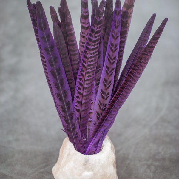 Long striped purple dyed pheasant feathers, 20-30 cm, 8-12 in, Free Shipping Available, decorative feathers, craft supply, headpiece cosplay