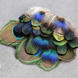 30 Stück Pfauen- und Fasanfedern, 3-7 cm, 1-3", Blaue und grüne Bastelfedern, Wohnkultur, Traumfänger, Hutmacher, Ohrringträger