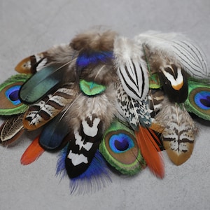 Mixed feather bag 30 Pheasant & Peacock Collection, Best quality assortment, DIY jewellery makers crafters, home decor, dream catcher zdjęcie 1