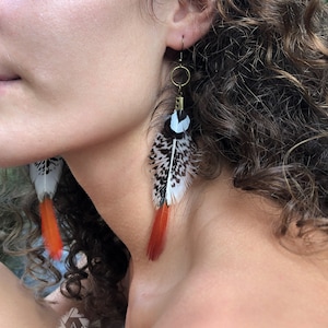 May include: Close-up of feather earrings. The earrings have a brass ring and hook, with white, black, and orange feathers. The feathers are attached to a small, decorative piece. The earrings are a unique accessory.