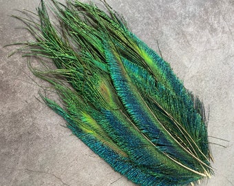 Long trimmed Peacock feathers, 10-14”, 25-32 cm, FREE SHIPPING available, Natural colourful iridescent, Green Peacock Plumage, home decor