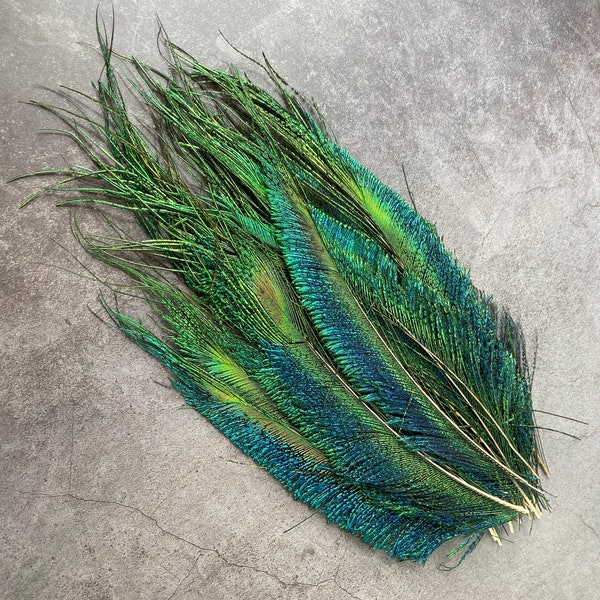 Long trimmed Peacock feathers, 10-14”, 25-32 cm, FREE SHIPPING available, Natural colourful iridescent, Green Peacock Plumage, home decor