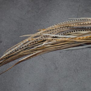 5 Feather Hair Extension DIY Kit, 7-18'' Natural stripped brown grizzly feathers, Hair enhancement additions festival accessory image 6