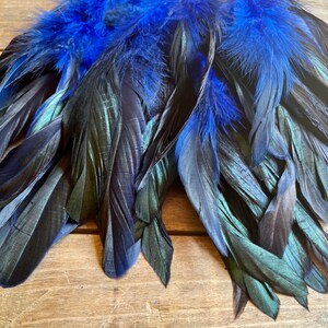 May include: A bunch of black and blue feathers with a iridescent sheen. The feathers are arranged in a fan shape and have a soft, fluffy texture.
